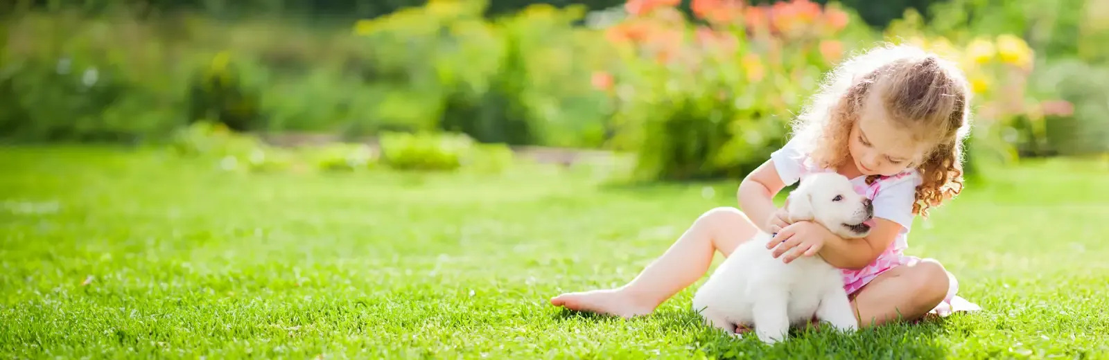 girl playing with dog outside