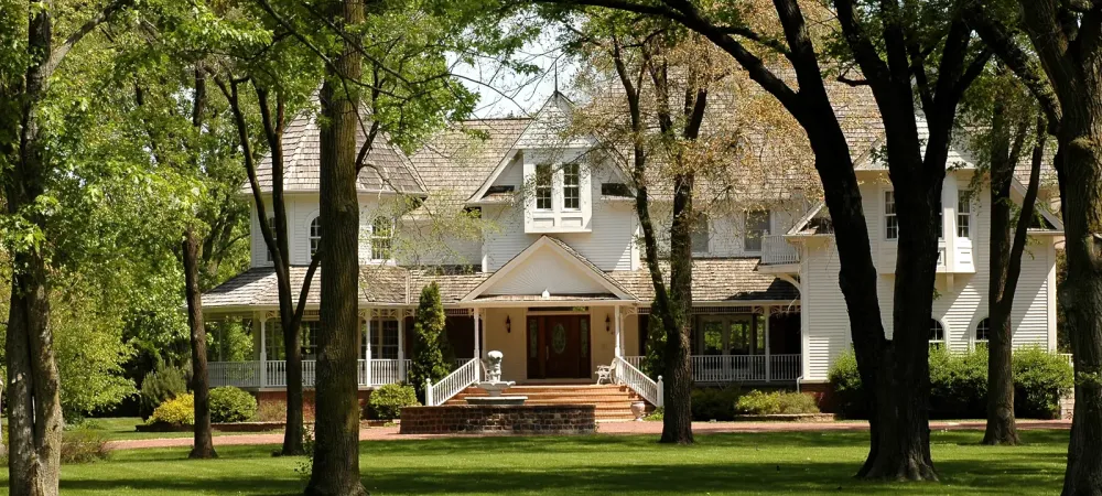 Pest-Free Home