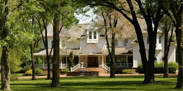 Pest-Free Home