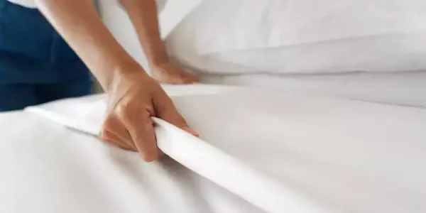 bed bugs
